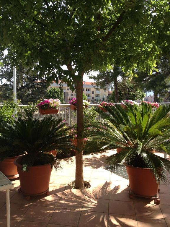 מטרה B&B Solacium מראה חיצוני תמונה